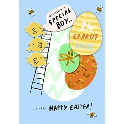 Image of Hallmark Little Boy Easter Card Wishing A Special Boy... 24 Carrot Cool ... Very Happy