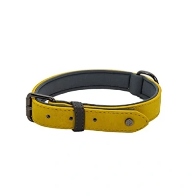 Image of Sotnos Aquatech Brights Dog Collar, Mustard Yellow, S