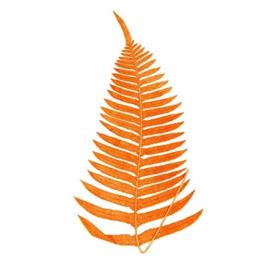 Image of Wee Blue Coo Botanics Red Orange Fern Art Print Poster Wall Decor