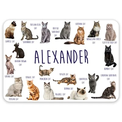 Image of Paper Themes Personalised Placemat for Kids (Cat Breeds)