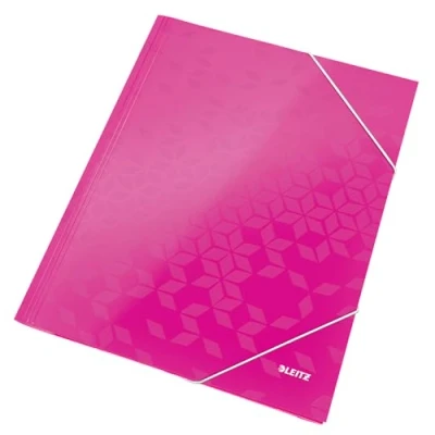 Image of Leitz WOW folders (Pink, Polypropylene, A4, Paper, Elastic band)