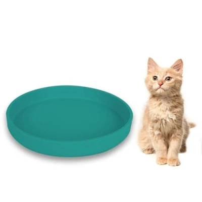 Image of Lollanda Feeding Bowl for Cats, Silicone Bowl, Oval Drinking Wide Dry Food and Wet (18 x 2.5 cm, Green)