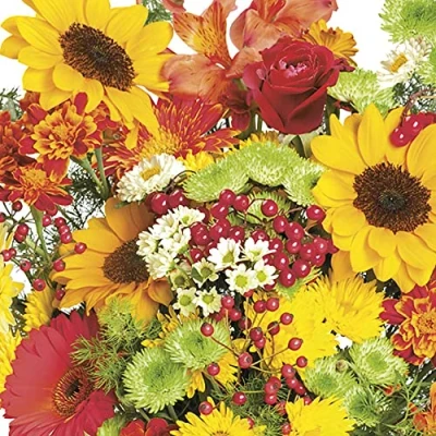Image of DAISY 3 Ply Spring Flowers Tissue Paper Napkins Serviettes for Decoupage Lunch 33cm x Pack of 20 (Rich Autumn Bouquet)