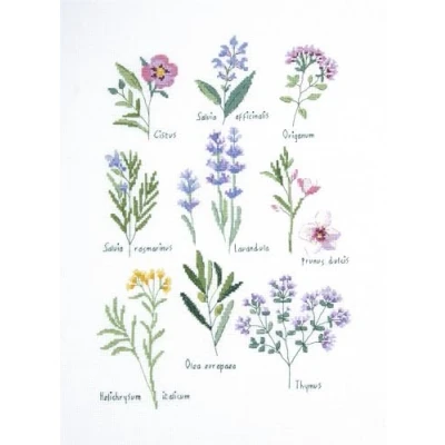 Image of DMC Herbs Cross Stitch Kit
