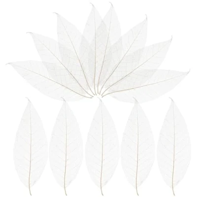 Image of Milisten 100pcs Skeleton Leaves Rubber Tree Natural Scrapbooking Craft DIY Card Wedding Scrapbook Handmade Embellishment