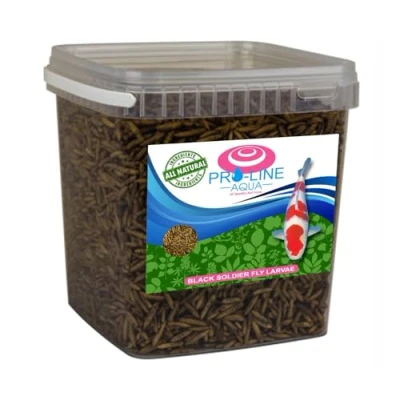 Image of Vivani Gedroogde BSF larvae 375 grams Groundbait