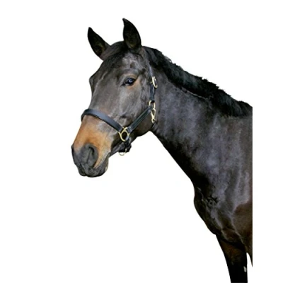 Image of Kerbl Eco Head Collar Black, Size 2