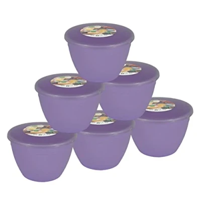 Image of Just Pudding Basins Pastel Colours Lilac 1 Pint Basin and Clear Lid Pack of 6 Plastic Steaming Bowls