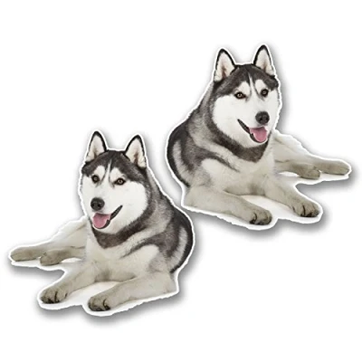 Image of 2 x 10cm Siberian Husky Vinyl Stickers Decals Laptop Tablet Car Dog #6295 (10cm 10cm)
