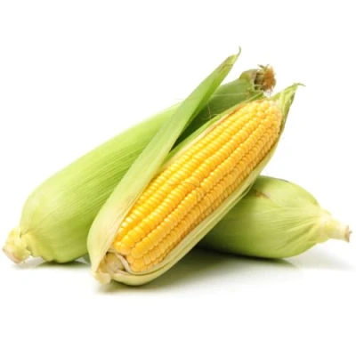 Image of Fresh Corn On the Cob 30 units Husk