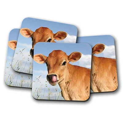 Image of 4 Set Pretty Jersey Calf Coaster Cow Cattle Farm Animals #15585