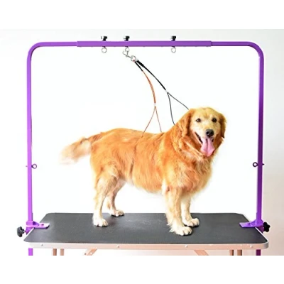 Image of Gravitis Pet Supplies Overhead Grooming Arm with Clamps and Harness Suitable for use Dog Table Purple