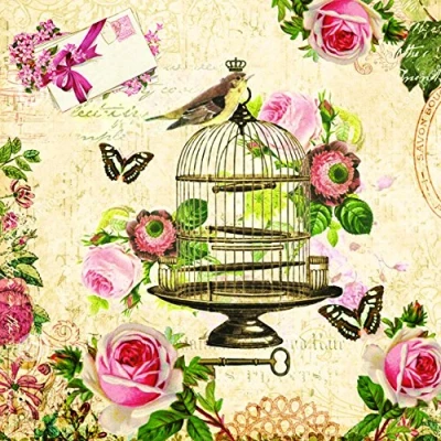 Image of Serviette Napkins 33 x cm Decoupage Technique Pack of 20 Vintage Bird Cage with Roses