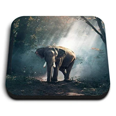 Image of 1 x Square MDF Fridge Magnet African Elephant Forest 13162