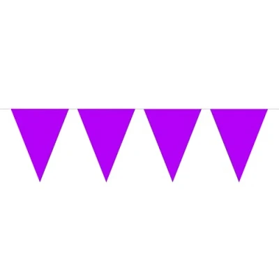Image of Bunting XL Purple 10 metres long, 15 Triangle Flags, Plastic
