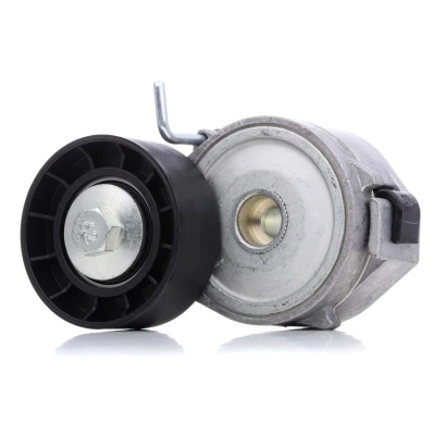 Image of 1440933, 1477061, 1696474, 1870358, 1881236 Tensioner DAYCO APV2424 FORD: KUGA 2, Galaxy Mk3 MPV, Mondeo 5 Kombi, PEUGEOT: 508 I SW