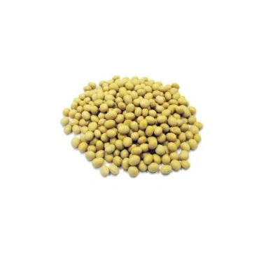 Image of SOYA Beans 200g