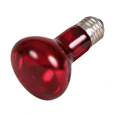 Image of Trixie Infrared Heat Spot Lamp, 35 Watt, 63 x 100 mm