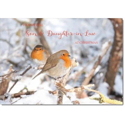 Image of doodlecards Son and Daughter in Law Christmas Card Two Robins Tree Large A4 Size for &amp; with Plain Envelope