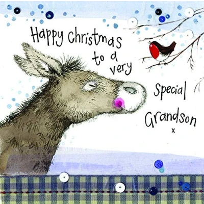 Image of Alex Clark Grandson Donkey Christmas Card