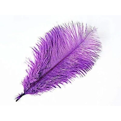 Image of 5 x 9 12&quot; Purple Ostrich Feathers