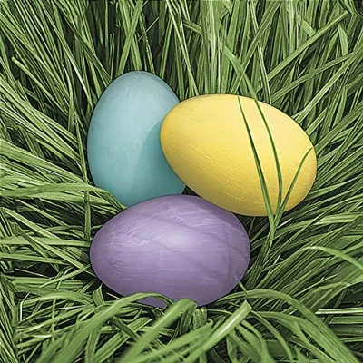 Image of DAISY Easter 3 Ply Tissue Paper Napkins Decorative Serviettes for Decoupage 33cm x (Pack of 20) (Pastel Eggs in Grass), (SDLE)