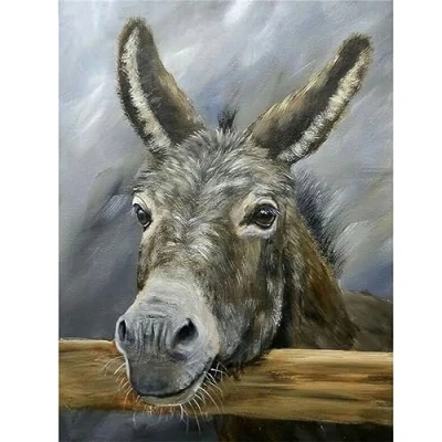 Image of 5D Diamond Painting by Number Kits for Adults, Animal Donkey 30x40cm Cross Stitch Kits,DIY Arts Craft Canvas Embroidery Pictures Home Wall Decor 12x16in