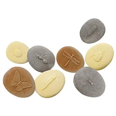 Image of Yellow Door YD10422 Let&#039;s Investigate Bugs Stone Set, multi
