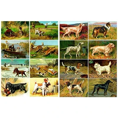 Image of Decoupage Paper Pack (20 Sheets 10x15cm) Hunting Gun Dog FLONZ Vintage Ephemera Trading Card