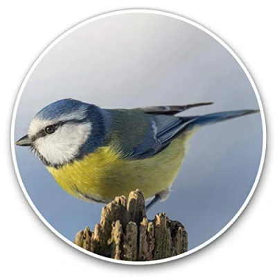 Image of 2 x Heart Stickers 10 cm Blue Tit Bird Garden Birds Fun Decals for Laptops,Tablets,Luggage,Scrap Booking,Fridges #3119