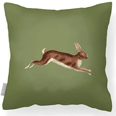Image of Izabela Peters Outdoor Cushions Waterproof, 43 cm, Filled Cushion, Hare Sage, Garden Furniture Cushions, Seat Chair