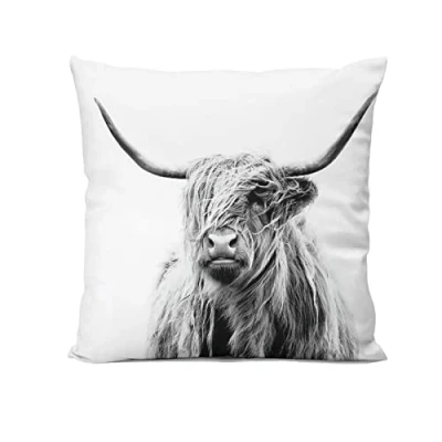 Image of Highland Cow Home Bedroom Cushion Pillow Covers Sofa Couch Decorative Square Throw Case 18x18 In