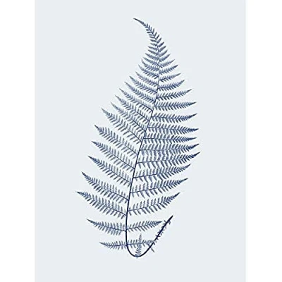 Image of Wee Blue Coo Botanics Cobalt Fern Alpestre Unframed Art Print Poster Wall Decor 12x16 inch