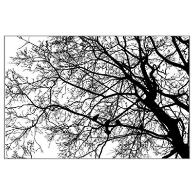 Image of Tree Background Silicone Clear Stamp Cling Seal Scrapbook Embossing Album