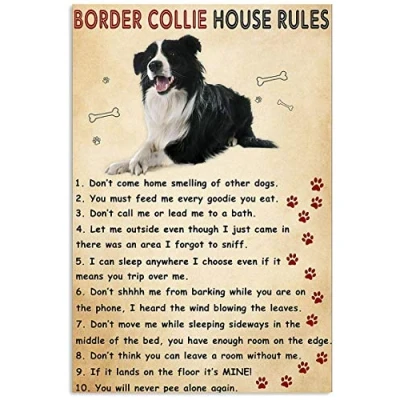 Image of Inga Border Collie House Rules Poster Vintage Wall Decor Metal Sign Plaque 8X12 inch