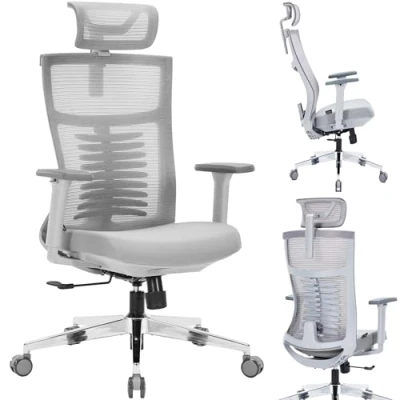 Image of Nyxi Premium Ergonomic Mesh Office Chair High Back Swivel Executive, 3D Armrests, Adjustable Headrest &amp; Lumbar Support, 3 Angle Locking Mechanism, Silver Metal Base (Foam Seat, Grey, Model 805)