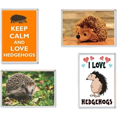 Image of Hedgehog/Hedgehogs 4 PACK Jumbo Fridge Magnet/Magnets