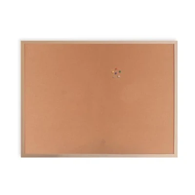 Image of Cathedral Products 60cm x 80cm Cork Notice Board with Wooden Frame and Starter Pack of 6 Pins