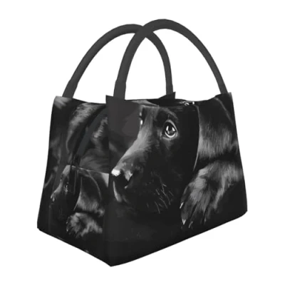 Image of QQLADY Black Labrador Puppy Insulated Lunch Bag for Men Women Reusable Box Leakproof Cooler Tote Office Work Picnic