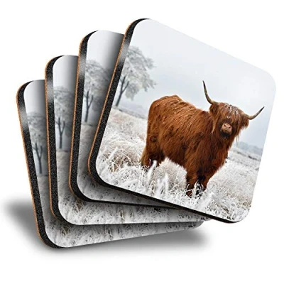 Image of Destination Vinyl ltd Great Coasters (Set of 4) Square Winter Highland Cow Scotland Scottish Drink Glossy Coasters/Tabletop Protection for Any Table Type #15508
