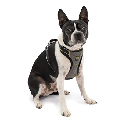 Image of Kurgo Impact Dog Car Harness, Crash Tested, Integrates with Seatbelt System, Lightweight, Small Black/Charcoal Grey