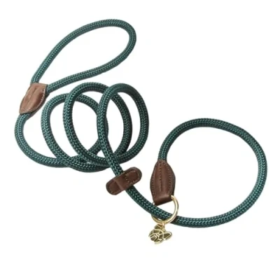 Image of Shires Digby &amp; Fox Fine Rope Slip Lead Green