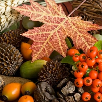 Image of 20 Napkins Autumn Fruit &amp; Maple Leaf / 33 x cm