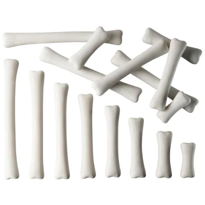 Image of Yellow Door YUS1033 Dinosaur Bones Match and Measure Set