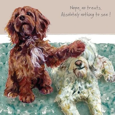 Image of The Little Dog Laughed Artistic Open Blank Greeting Card Chester &amp; Barney Cockapoos Nothing To See From Digs Manor Collection Suitable For Birthdays, Anniversaries, Other Occasions
