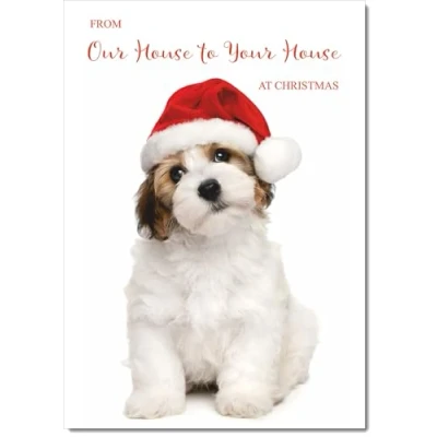 Image of doodlecards House To Christmas Card Dog and Santa Hat Medium Size for with Plain Envelope