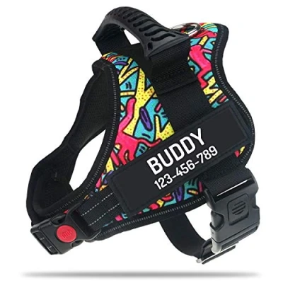 Image of PawPawify Personalised No Pull Dog Harness with Custom Name and Phone Number, Heavy Duty Pet Vest to Prevent Tugging, Pulling, or Choking, Training Walking (Color Doodle, S Chest 20 25in)