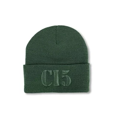 Image of The Professionals TV Show Official CI5 Training Beanie Hat Green