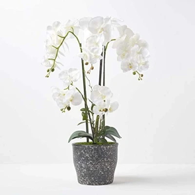 Image of HOMESCAPES Large Artificial Green &amp; White Orchid In Pot 82 cm Tall Lifelike Faux Plant Grey Cement Real Touch Silk Flowers and Leaves Phalaenopsis Flower Indoor Decoration