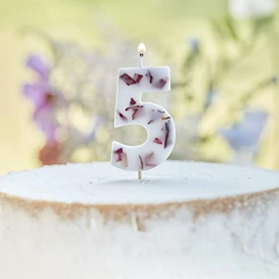 Image of Ginger Ray Pressed Petal Number 5 Birthday Party Candle